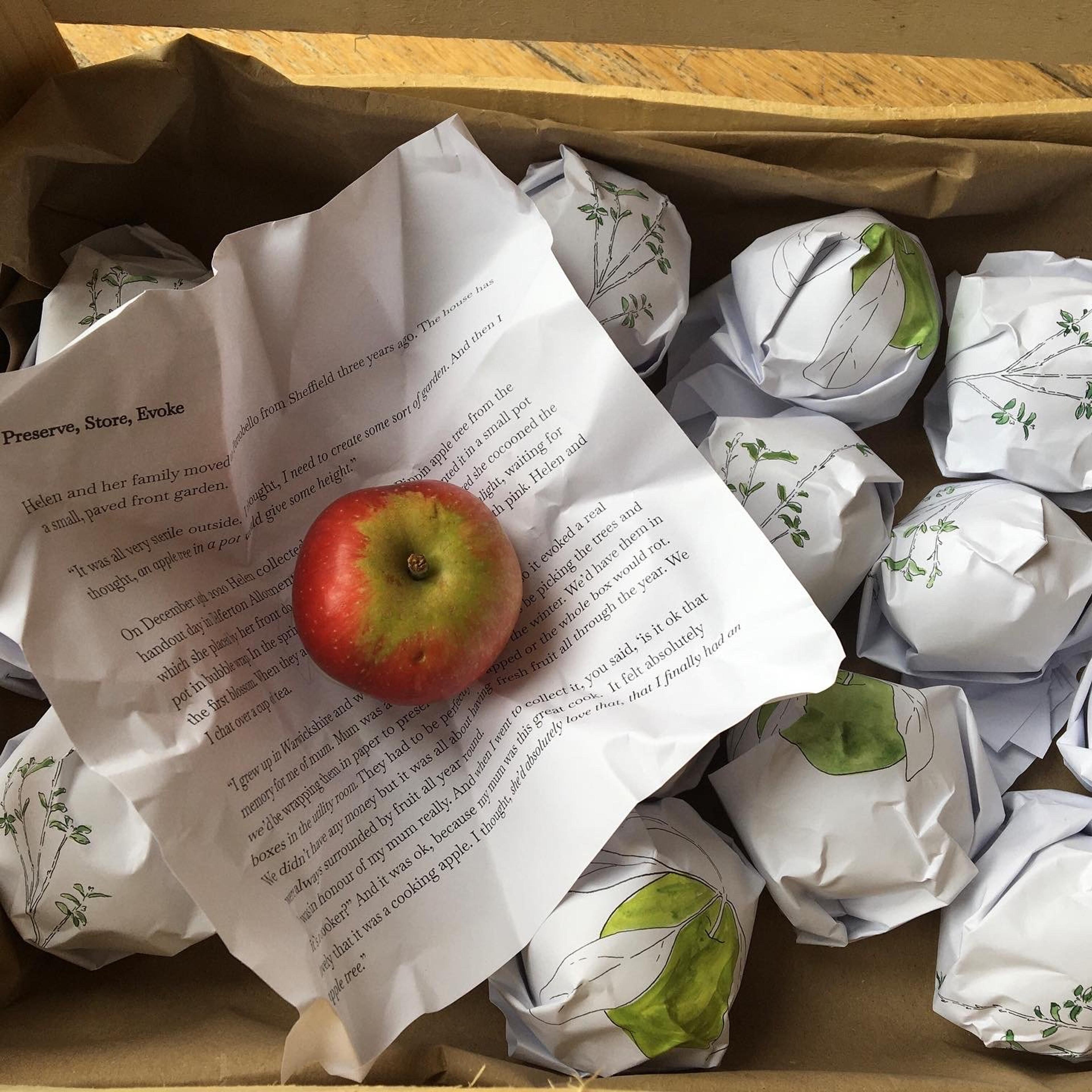 Annie Lord, Grower Portraits. Text on illustrated apple wrappers. 2021