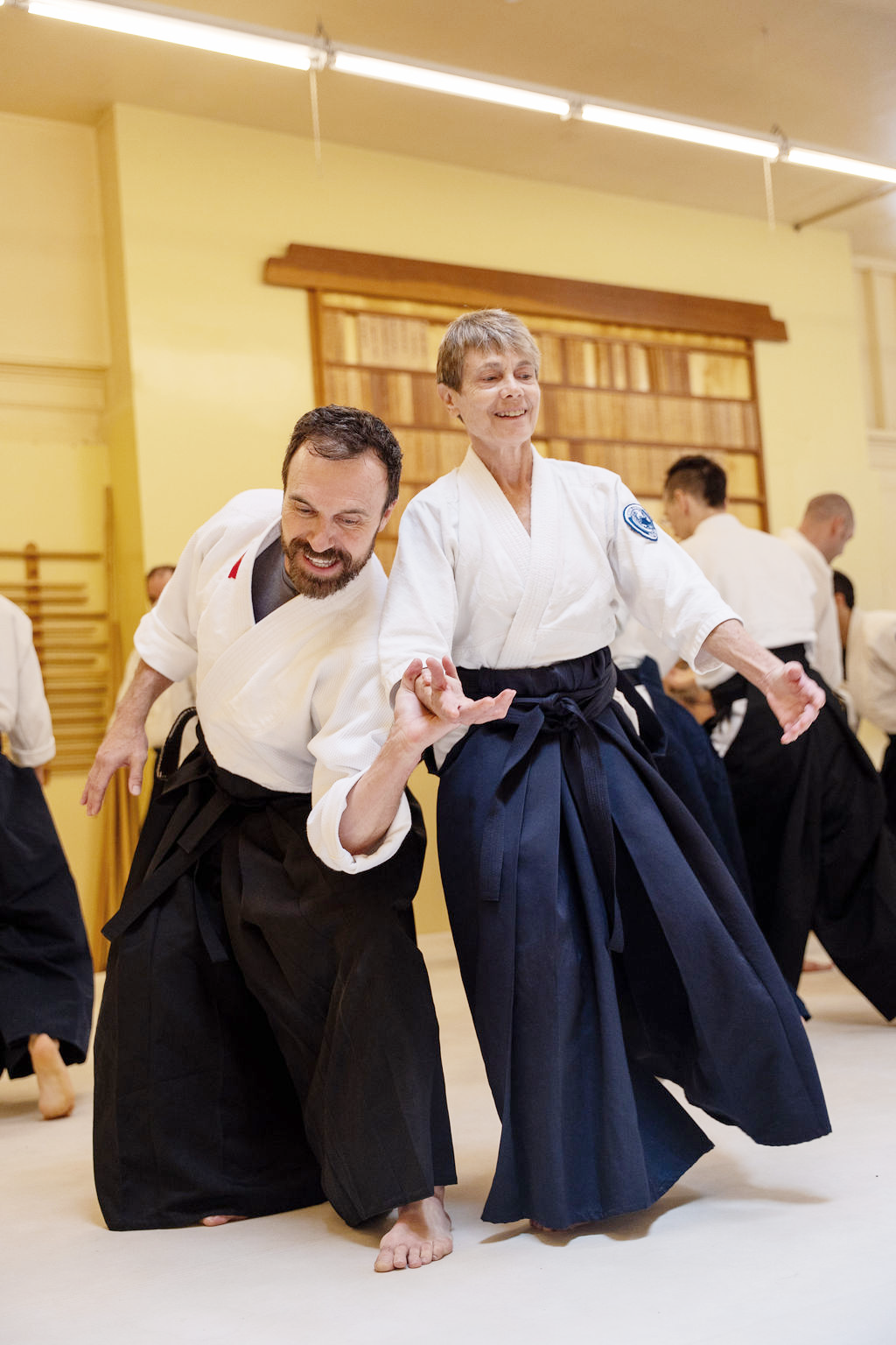 Adult Intro to Aikido series