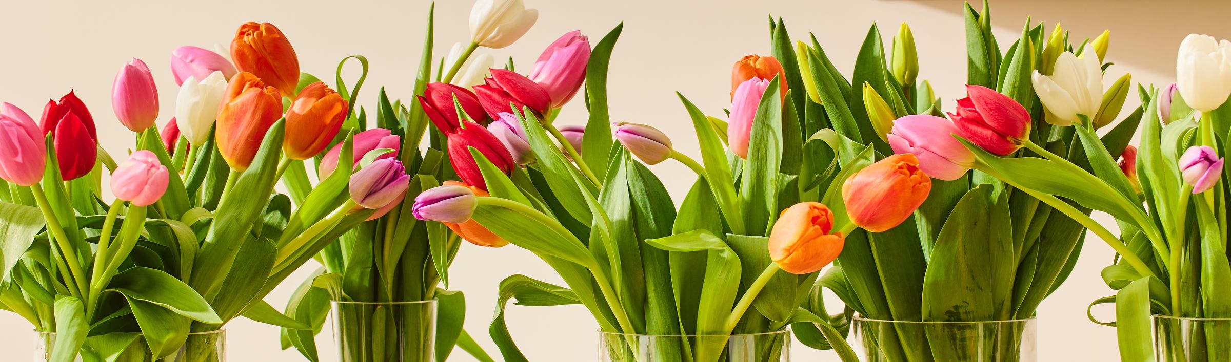 Bilde av tulipaner i vaser.