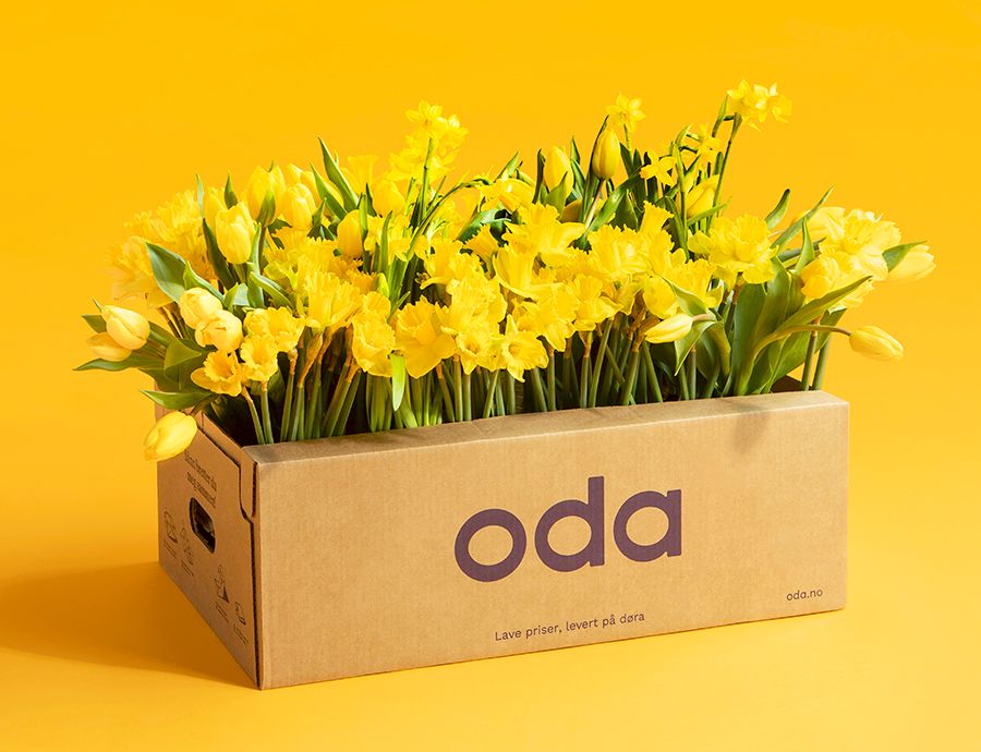 På bildet synes en Odaeske mot en gul bakgrunn, med påskeliljer