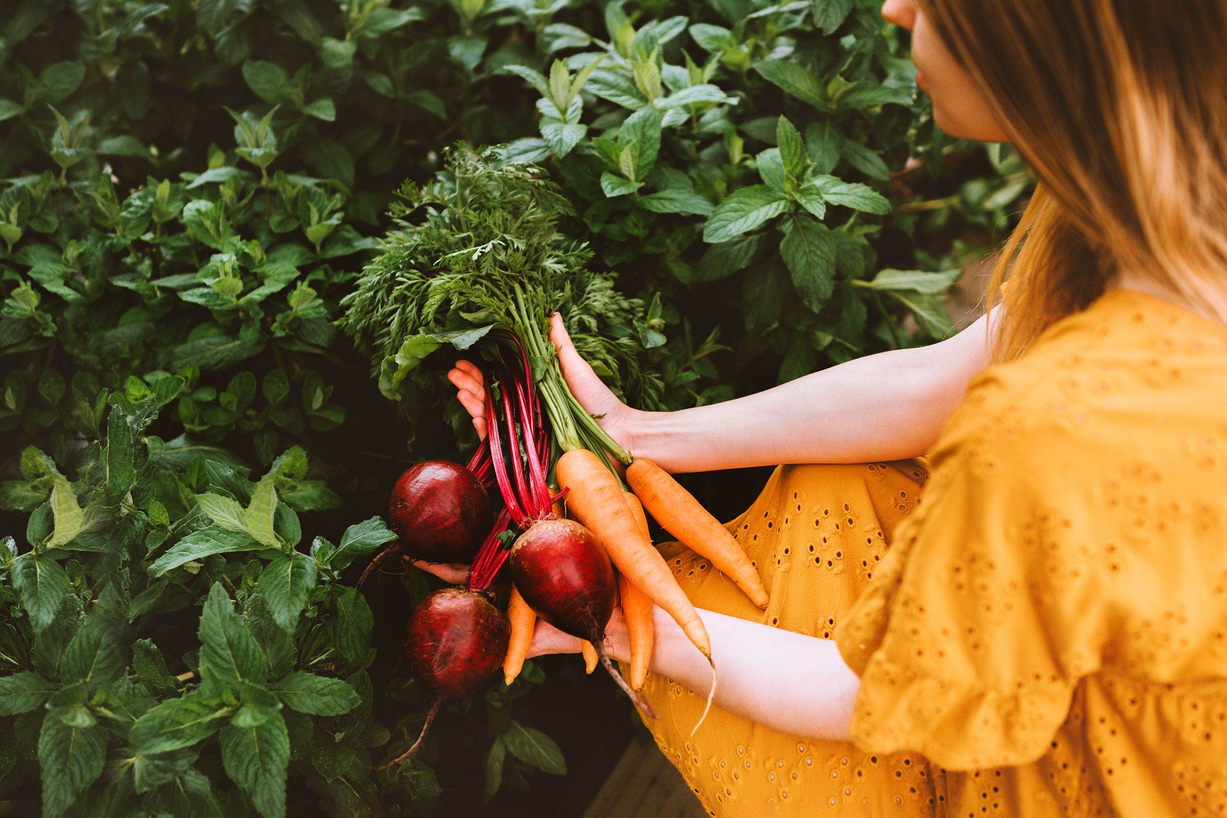 På bildet ser man en person holde i forskjellige grønnsaker
