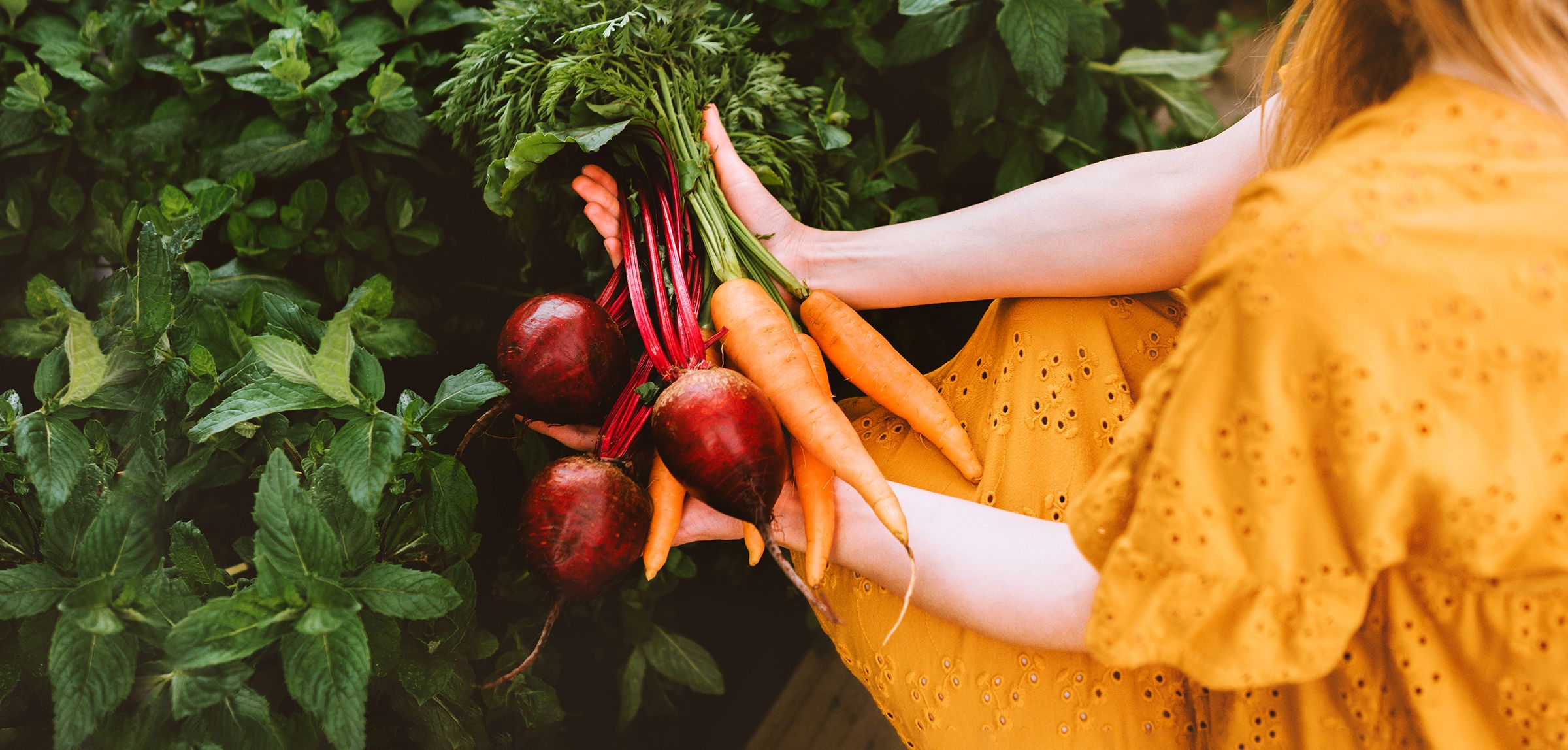 På bildet ser man en person holde i forskjellige grønnsaker