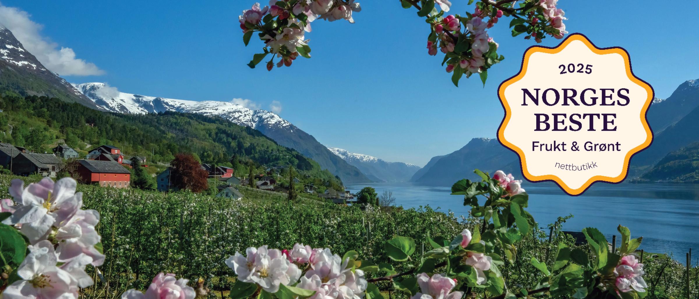 På bildet ser man grener fra et epletre i full blomst. I bakgrunnen skimtes en fjelldal.