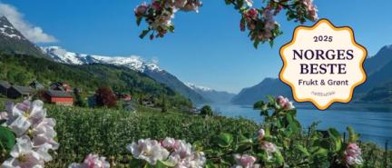 På bildet ser man grener fra et epletre i full blomst. I bakgrunnen skimtes en fjelldal.