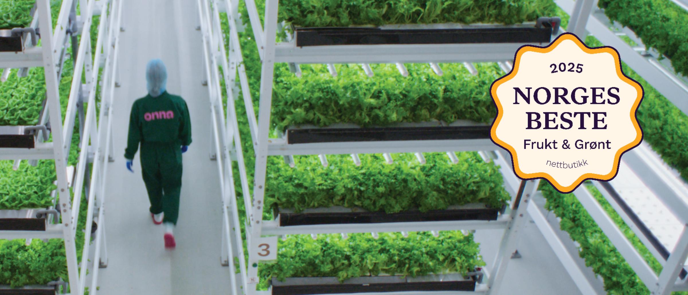 Bildet inneholder vertikaldyrket salat fra Onna. Produsert i Moss i Norge.