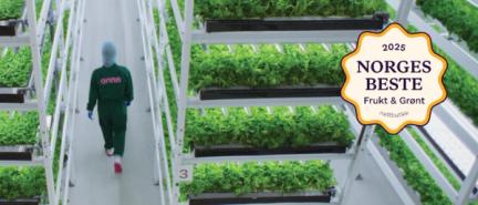 Bildet inneholder vertikaldyrket salat fra Onna. Produsert i Moss i Norge.