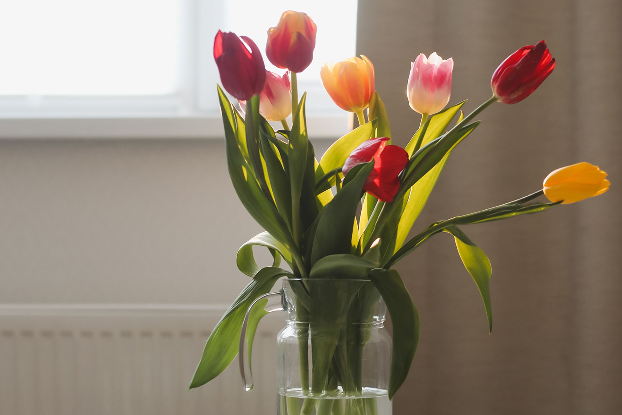 På bildet syns en vase med tulipaner