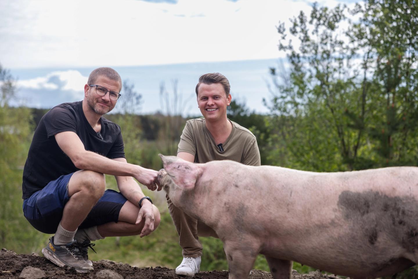 Lokalmat fra Heldiggris.