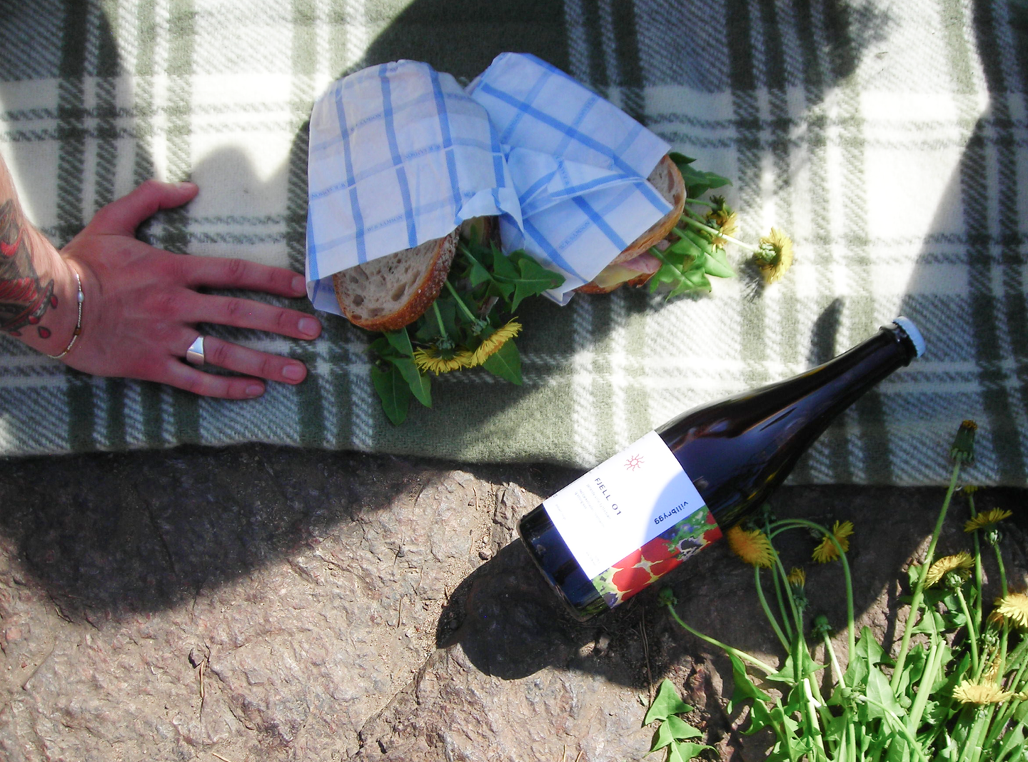 Bildet inneholder en piknik med Villbrygg drikke i bildet.