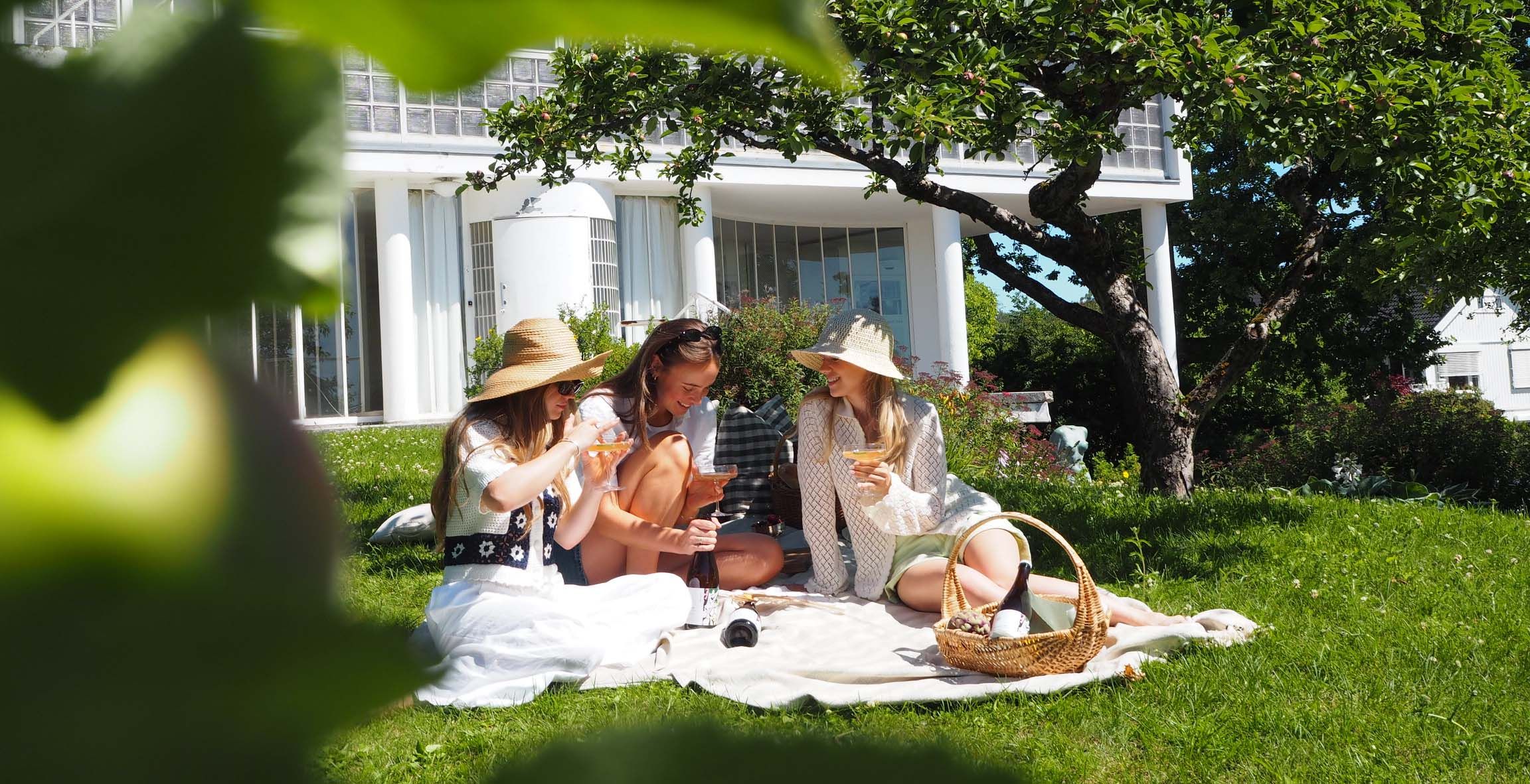 På bildet synes flere personer pa en picknick nyte Villbrygg drikk 