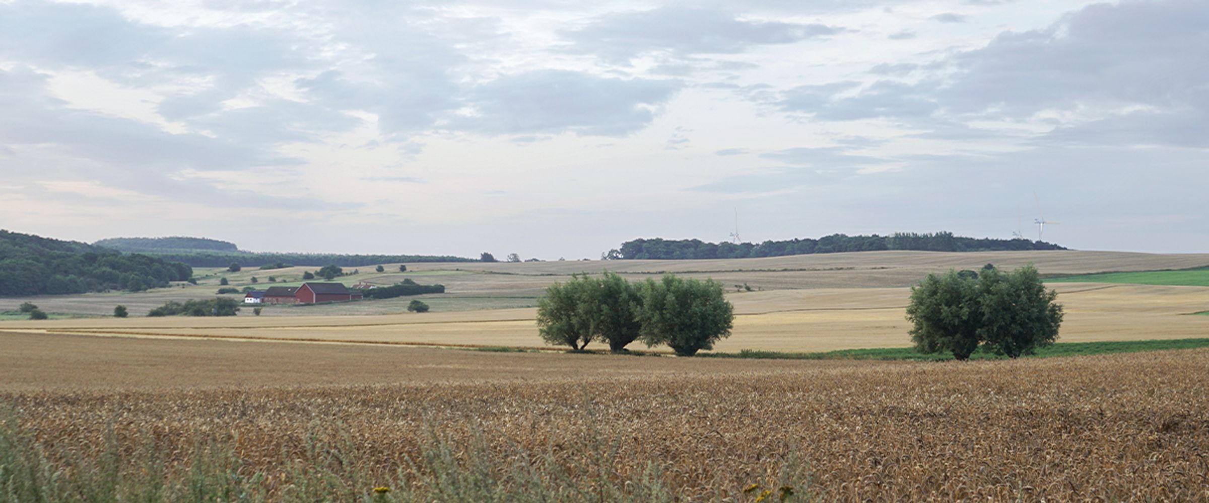 På bilden syns en vy av ängar