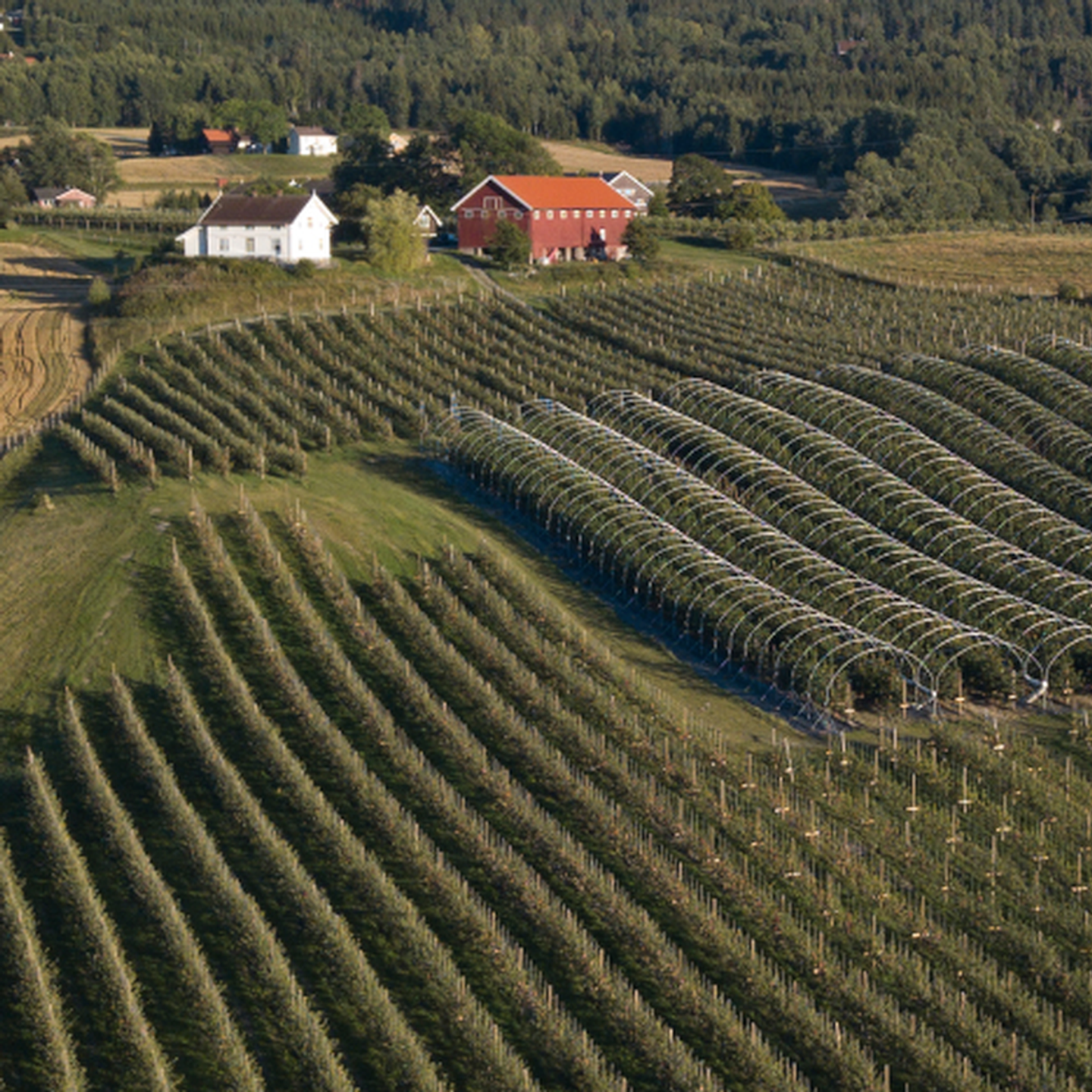 Produkter fra NeRø Gård finner du på Oda.no