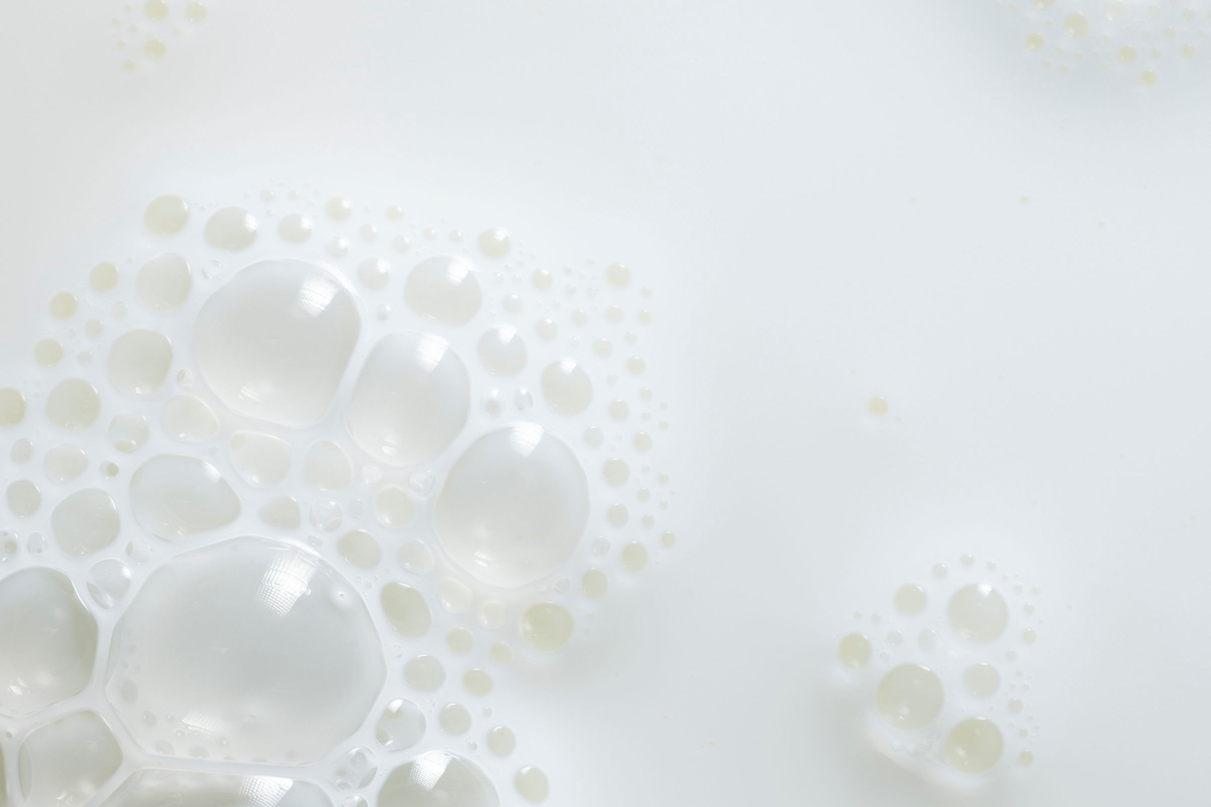 Laktos och mjölkprotein - vad är skillnaden? 