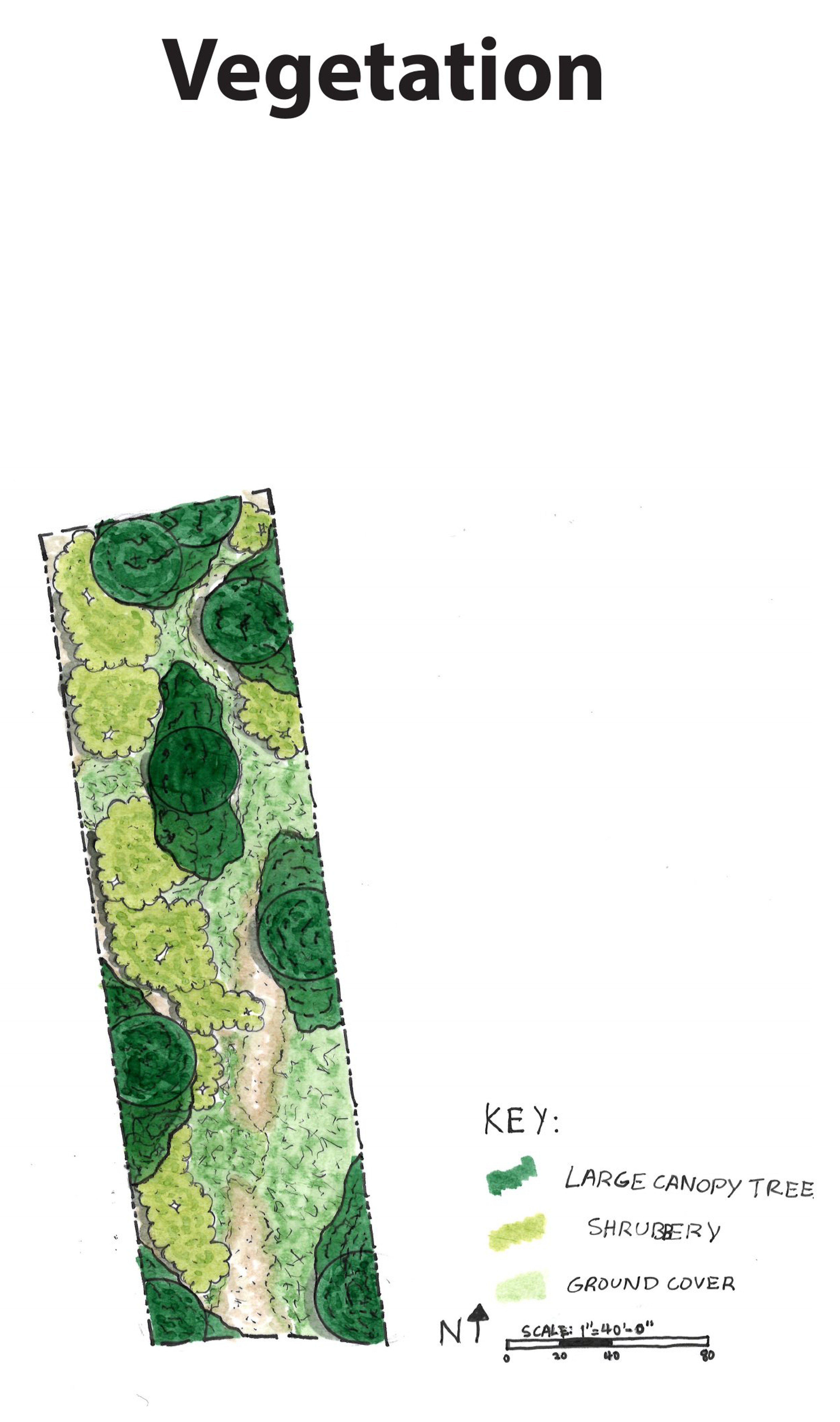 Existing vegetation analysis showing tree canopy and ground cover