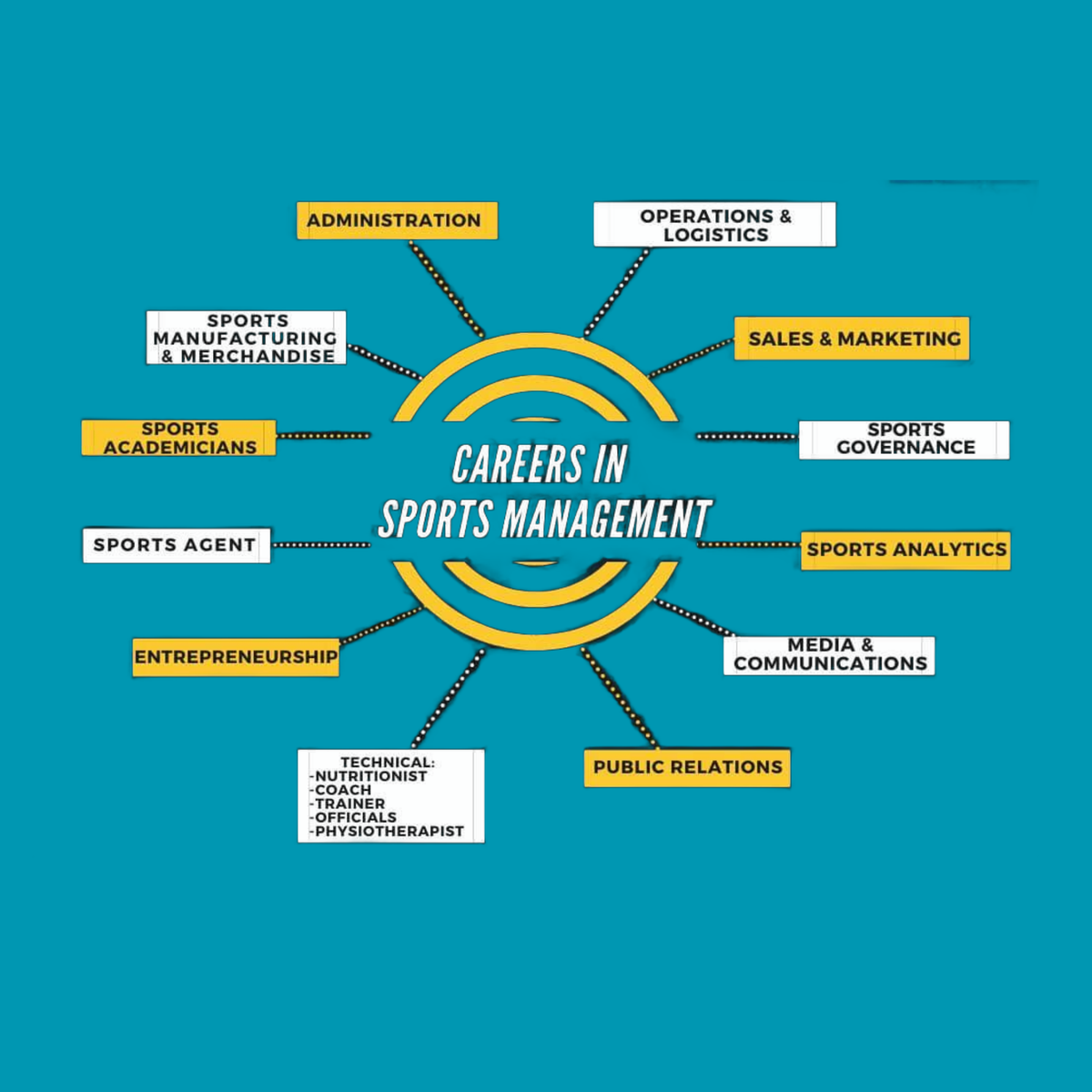 What are the various career tracks in sports?