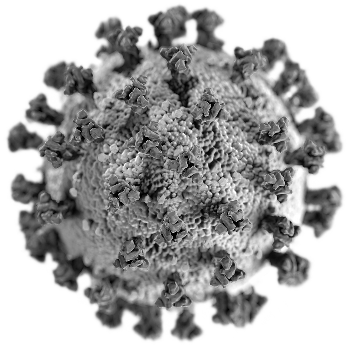 virus