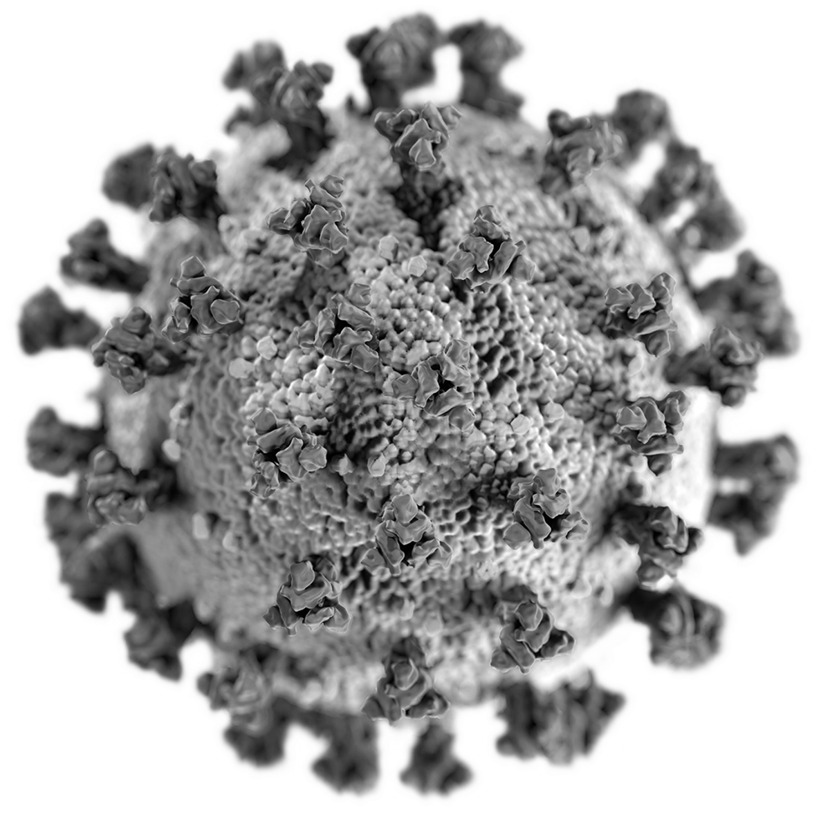 virus