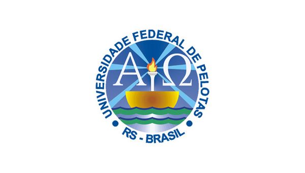 Vestibular UFPel 2026/2: 546 vagas pela nota do ENEM