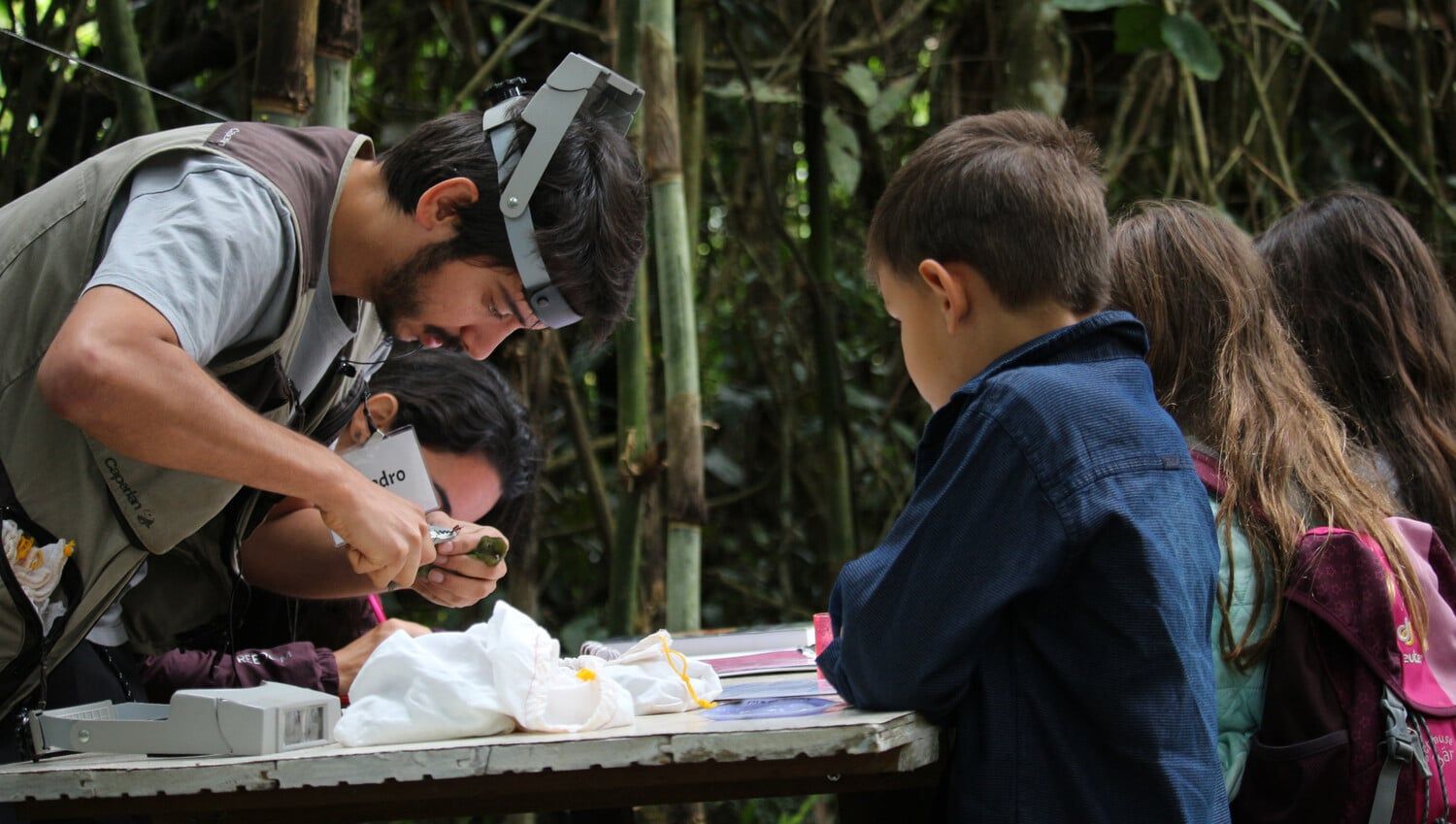 O que são Observatórios de Aves?