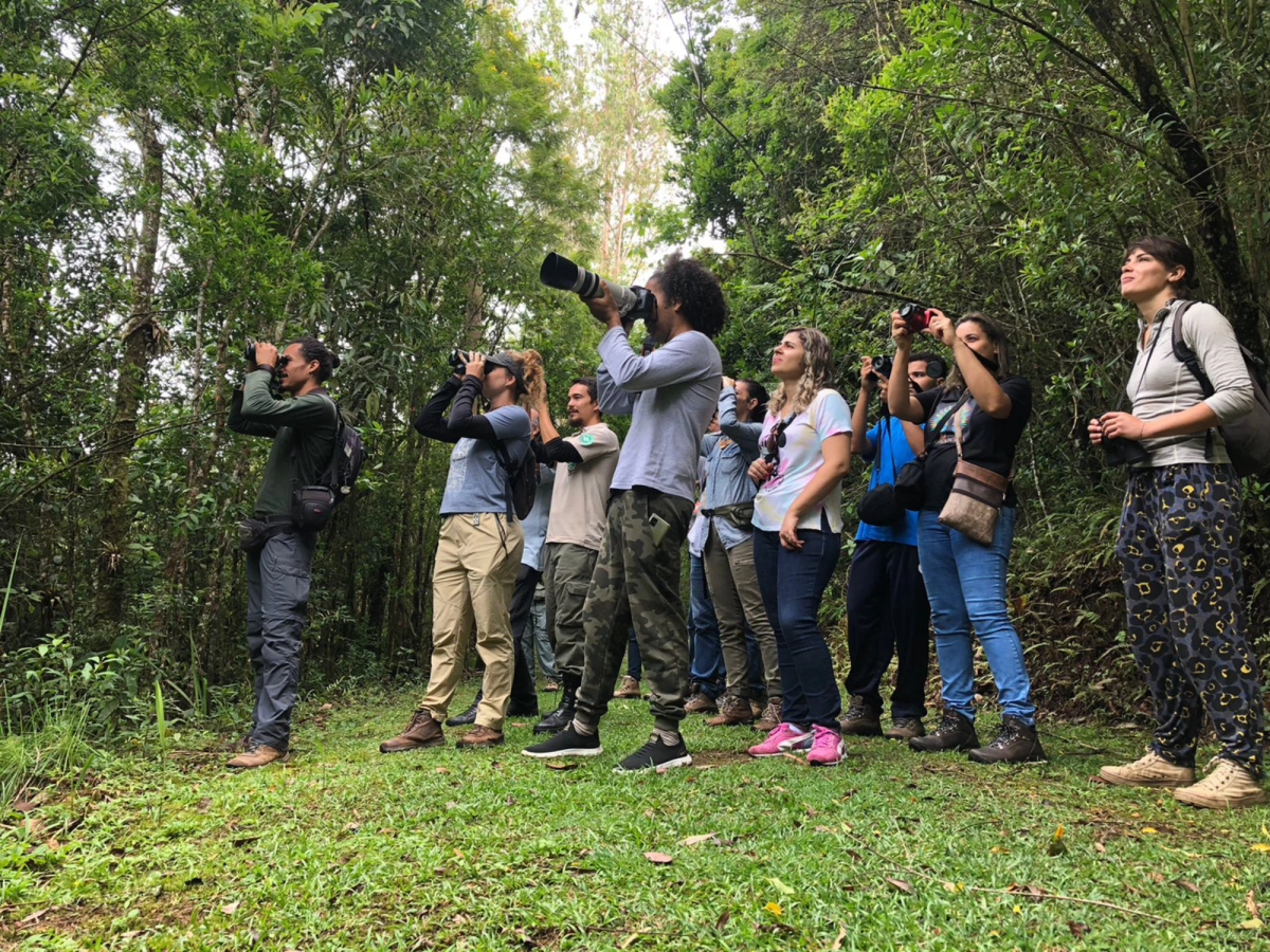 Pessoas em meio a natureza praticando observação de aves. Algumas utilizam binóculos e outras câmera fotográficas.