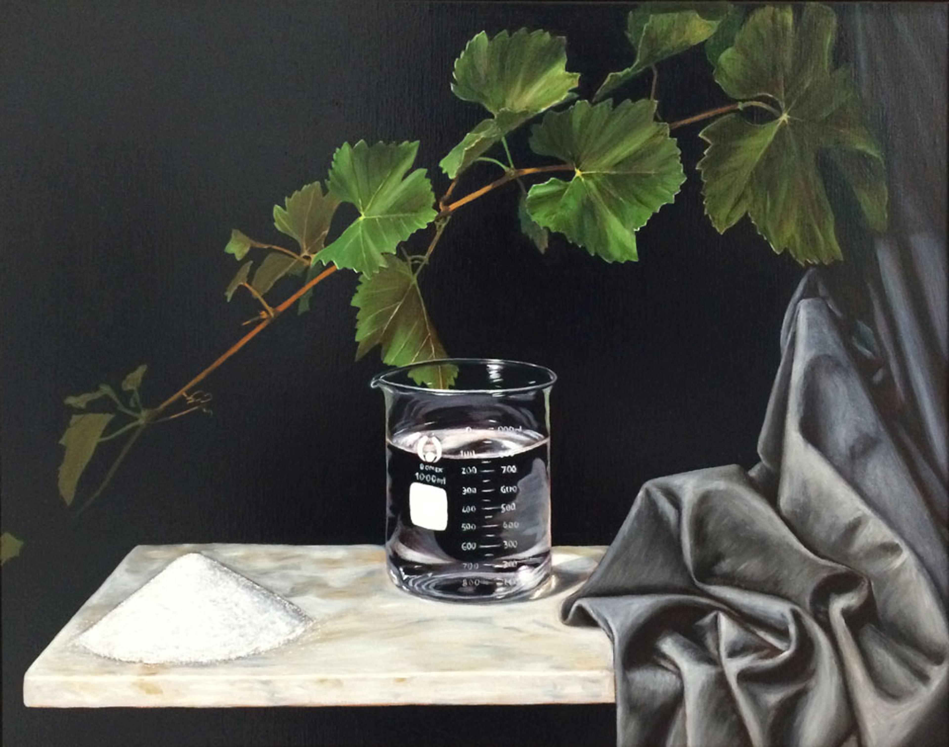 Photo of Still Life with Beaker Solvent and Solute
