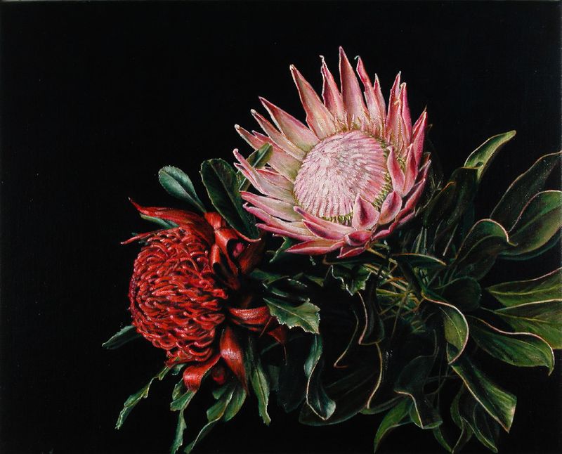 Still Life with Protea and Waratah