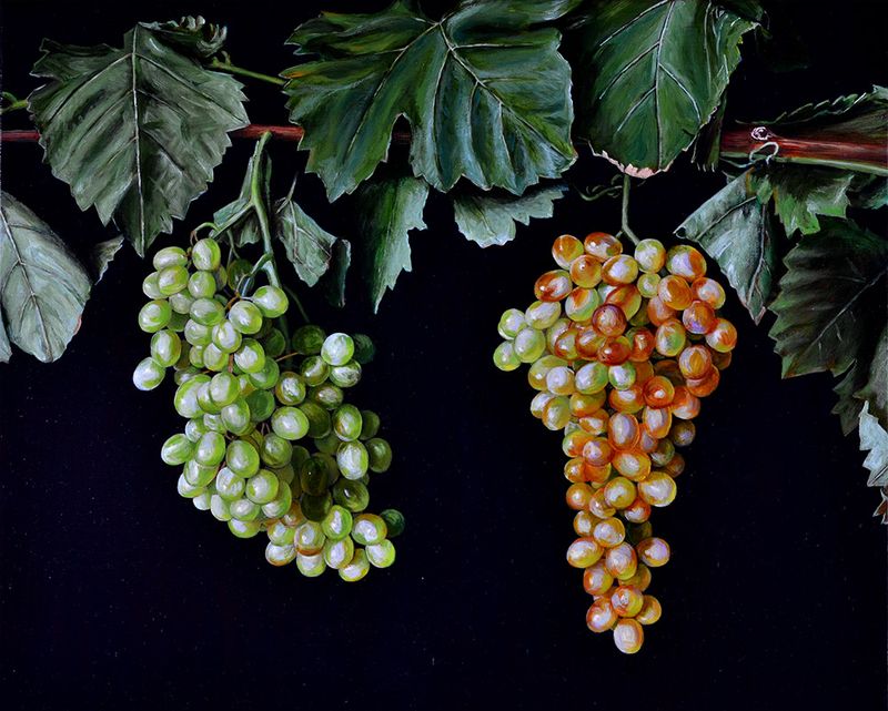 Still Life with Grapes