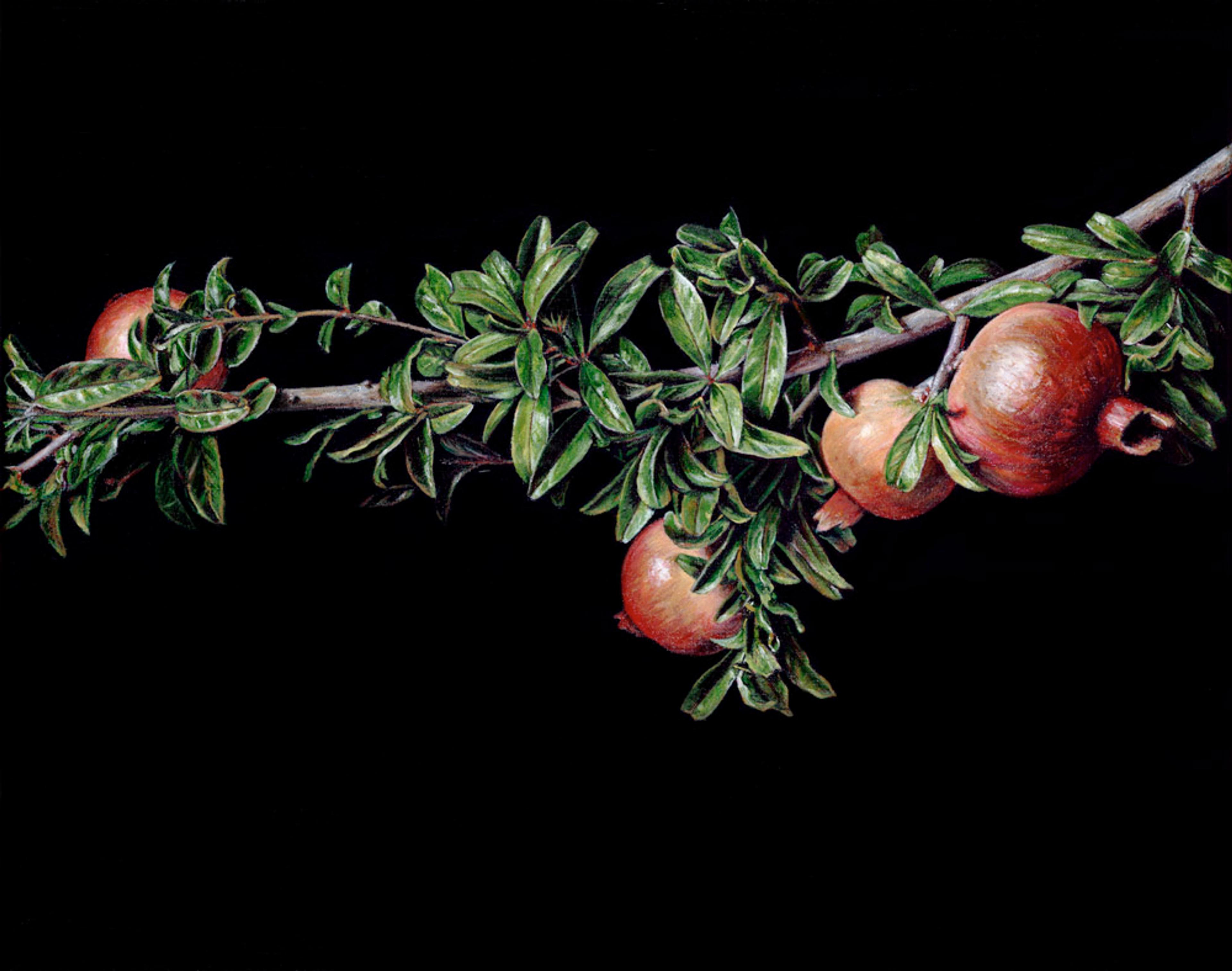 Photo of Still Life with Pomegranates