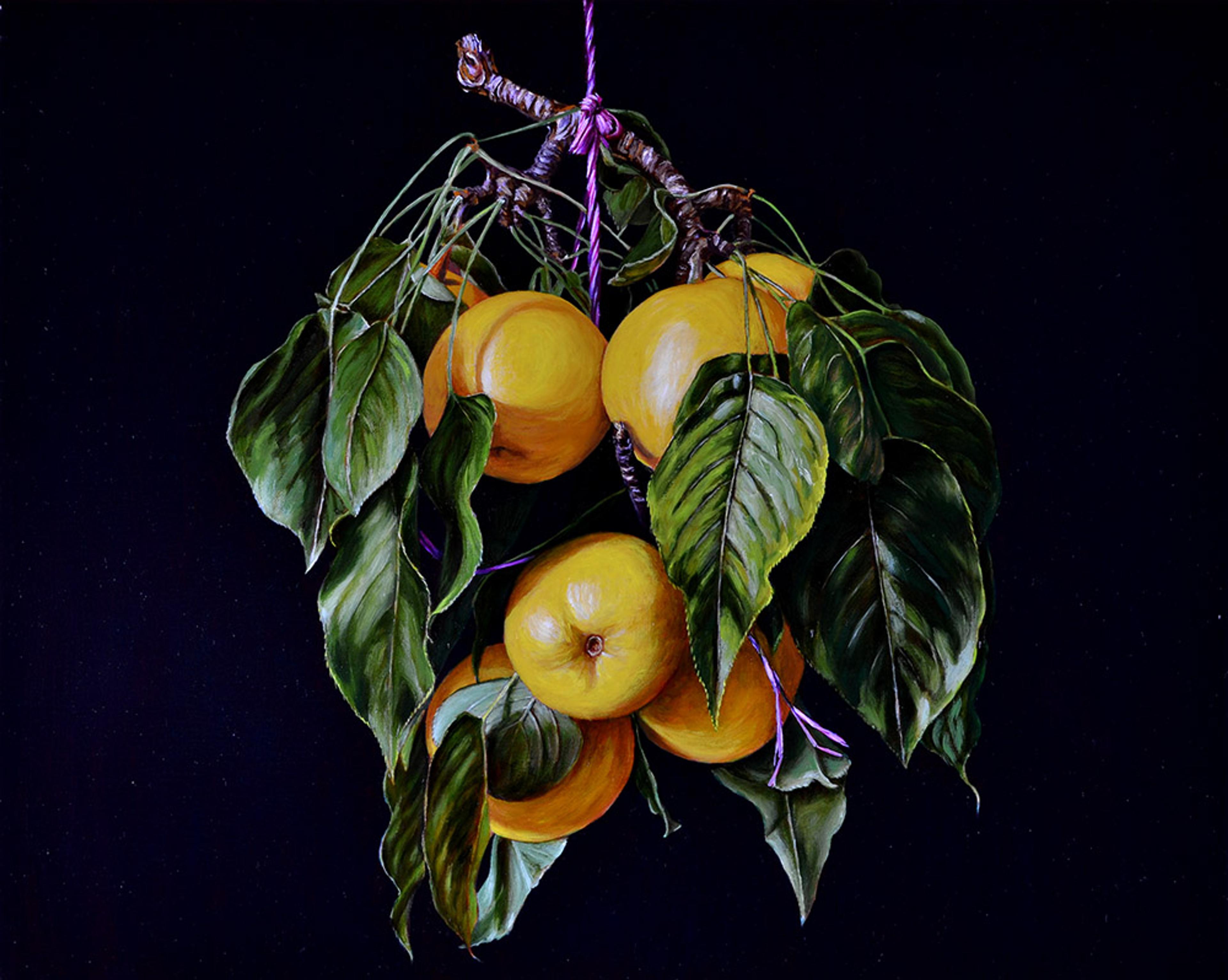 Photo of Still Life with Nasi Pears