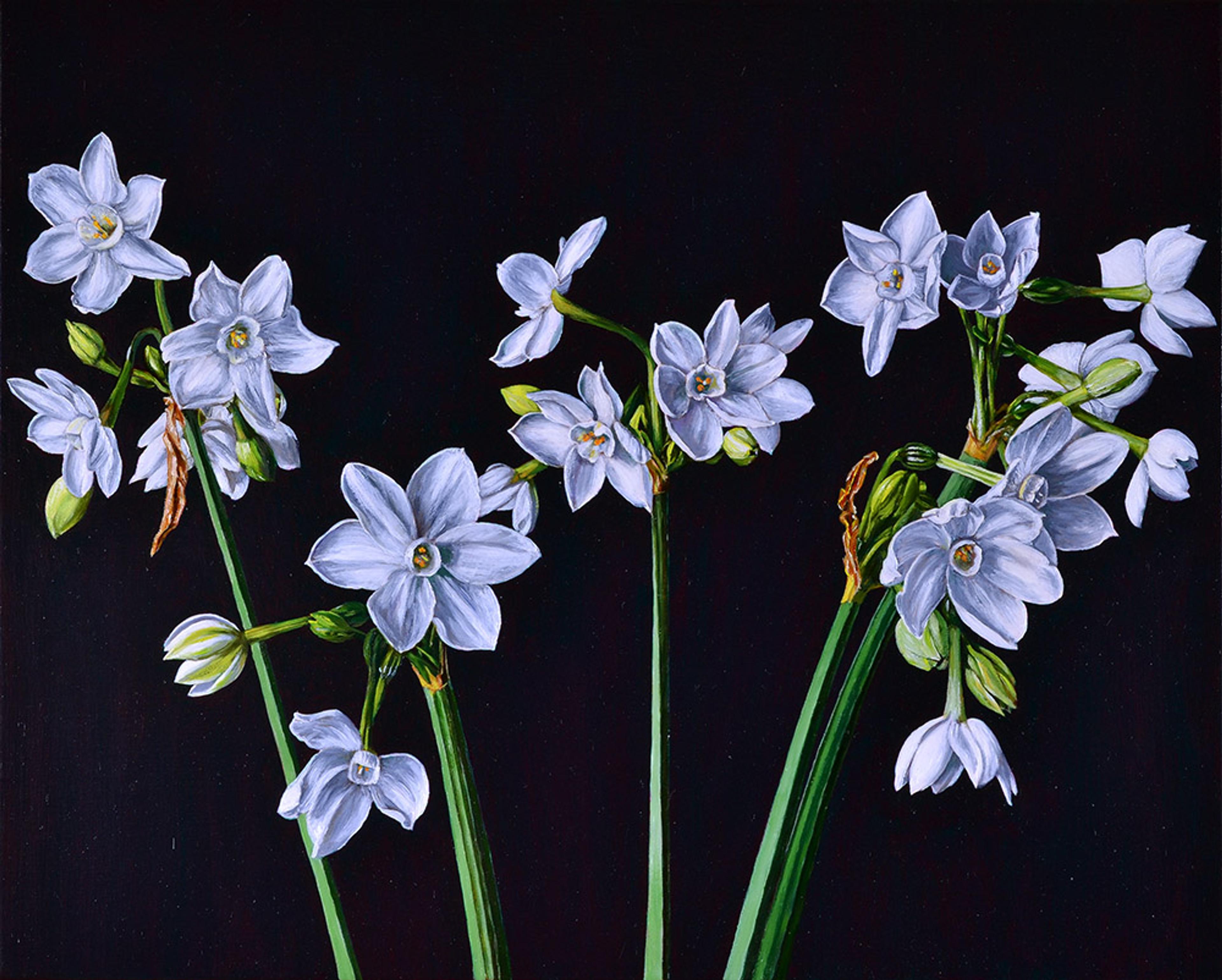 Photo of Still Life with Narcissus III