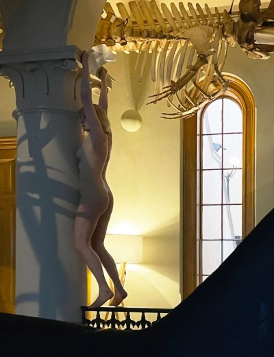 Paletten Nr. 335-336