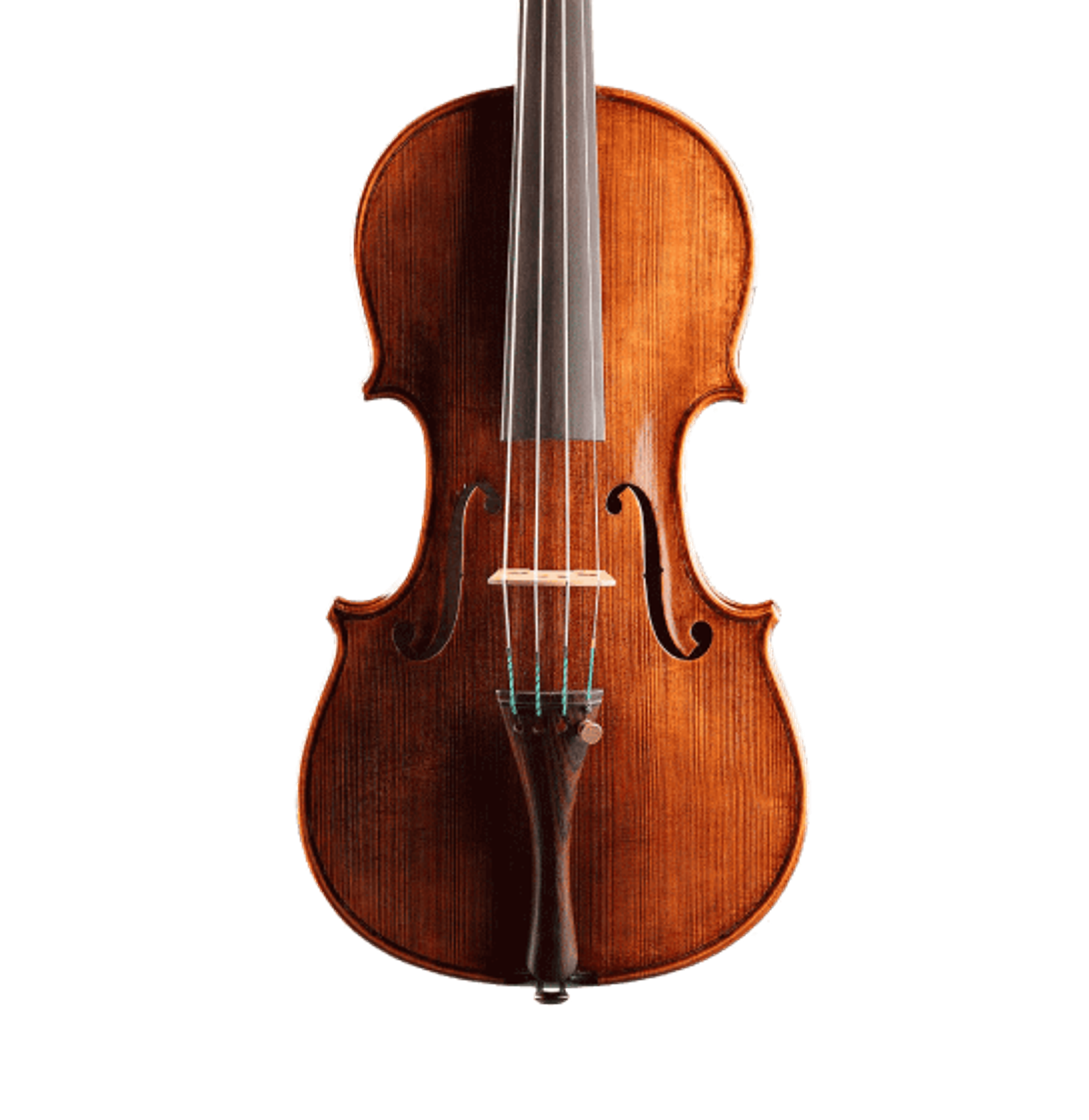 Geige House Of Strauss | Violine