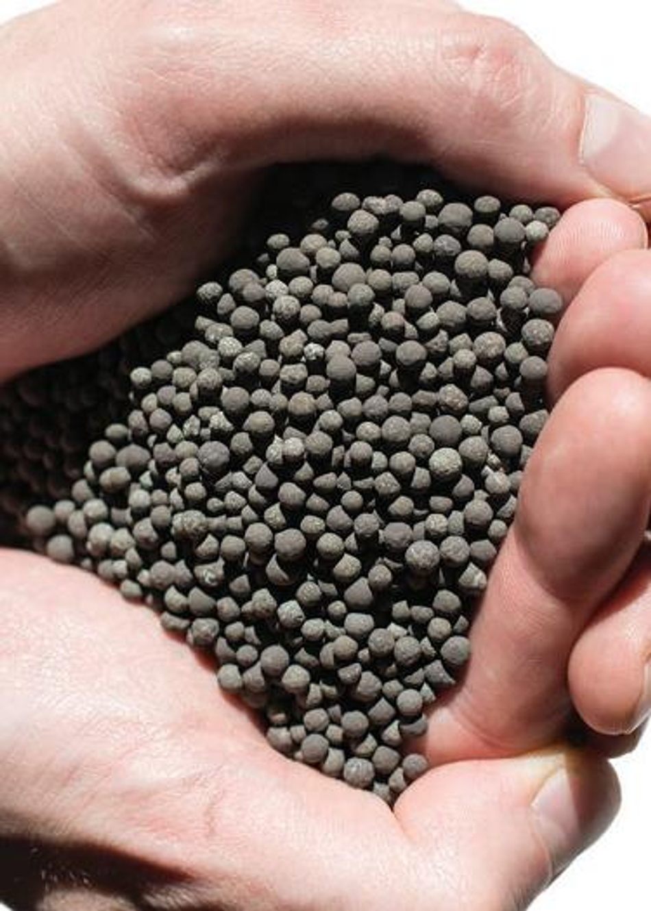 Metal Oxide Adsorbents
