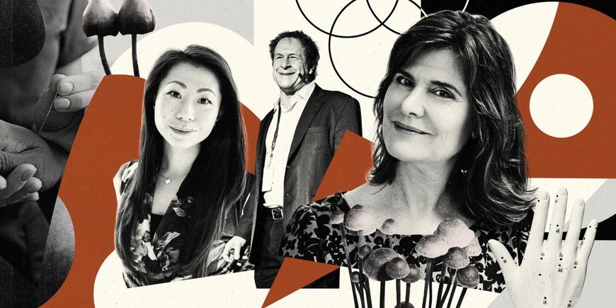 holistic health, psychedelic treatment