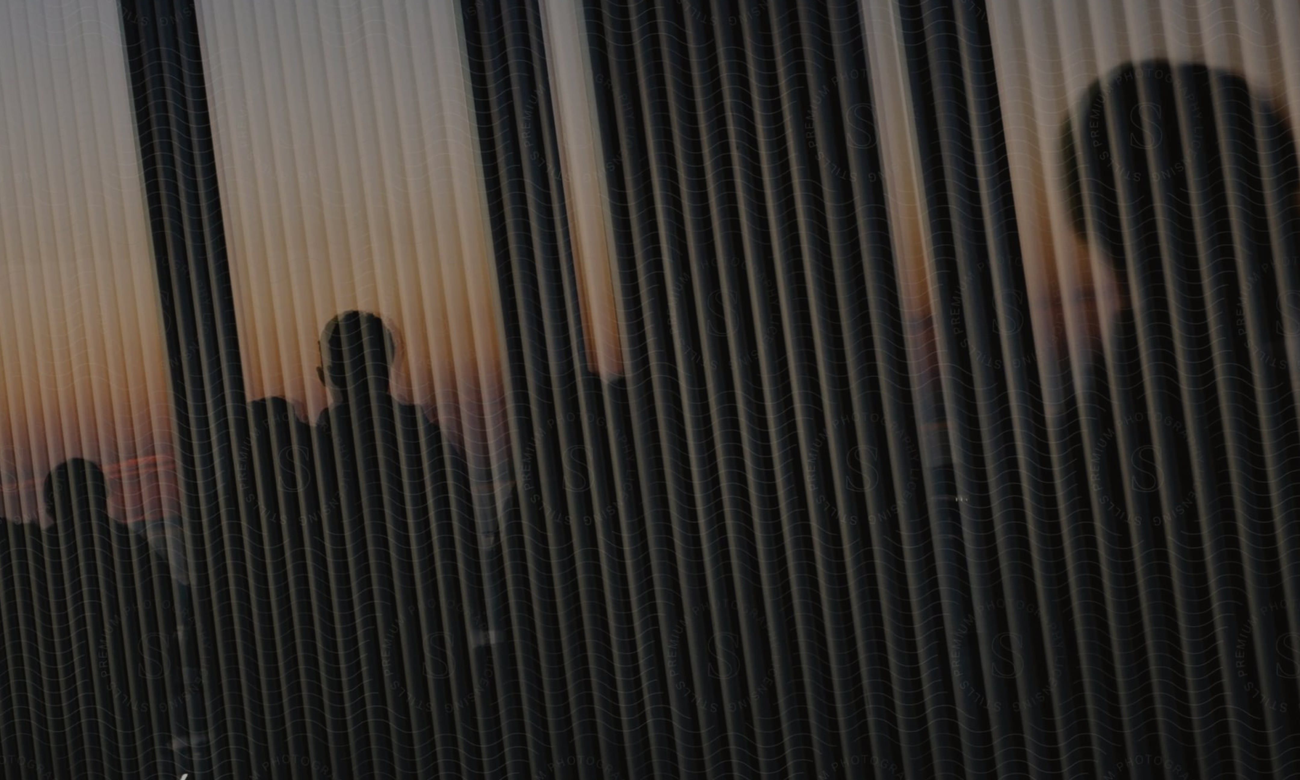 window