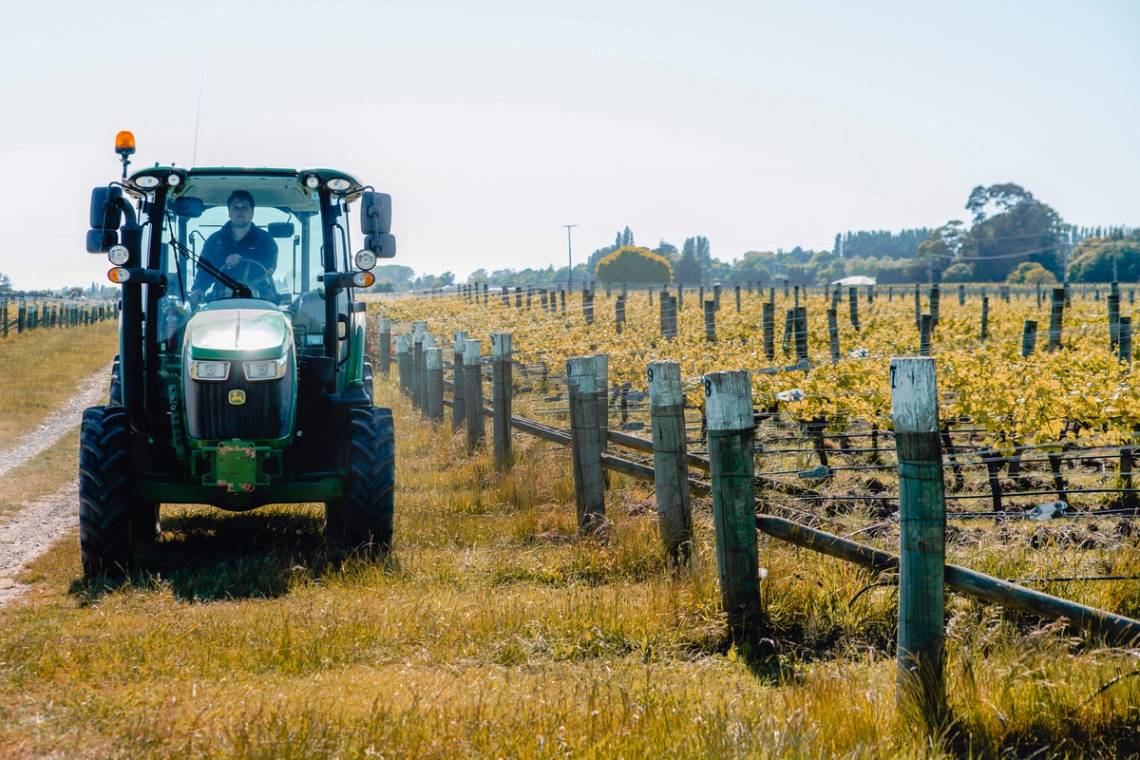 Tractor in the vineyard