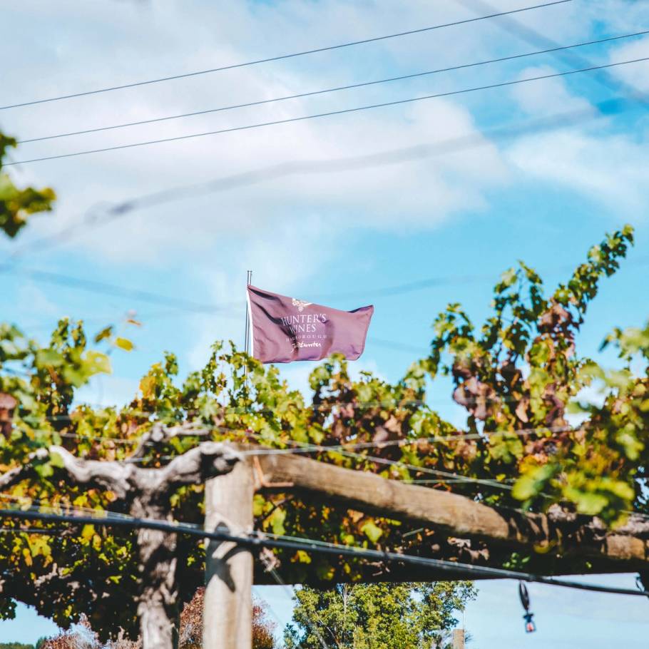 Hunter's flag flapping above Trellis