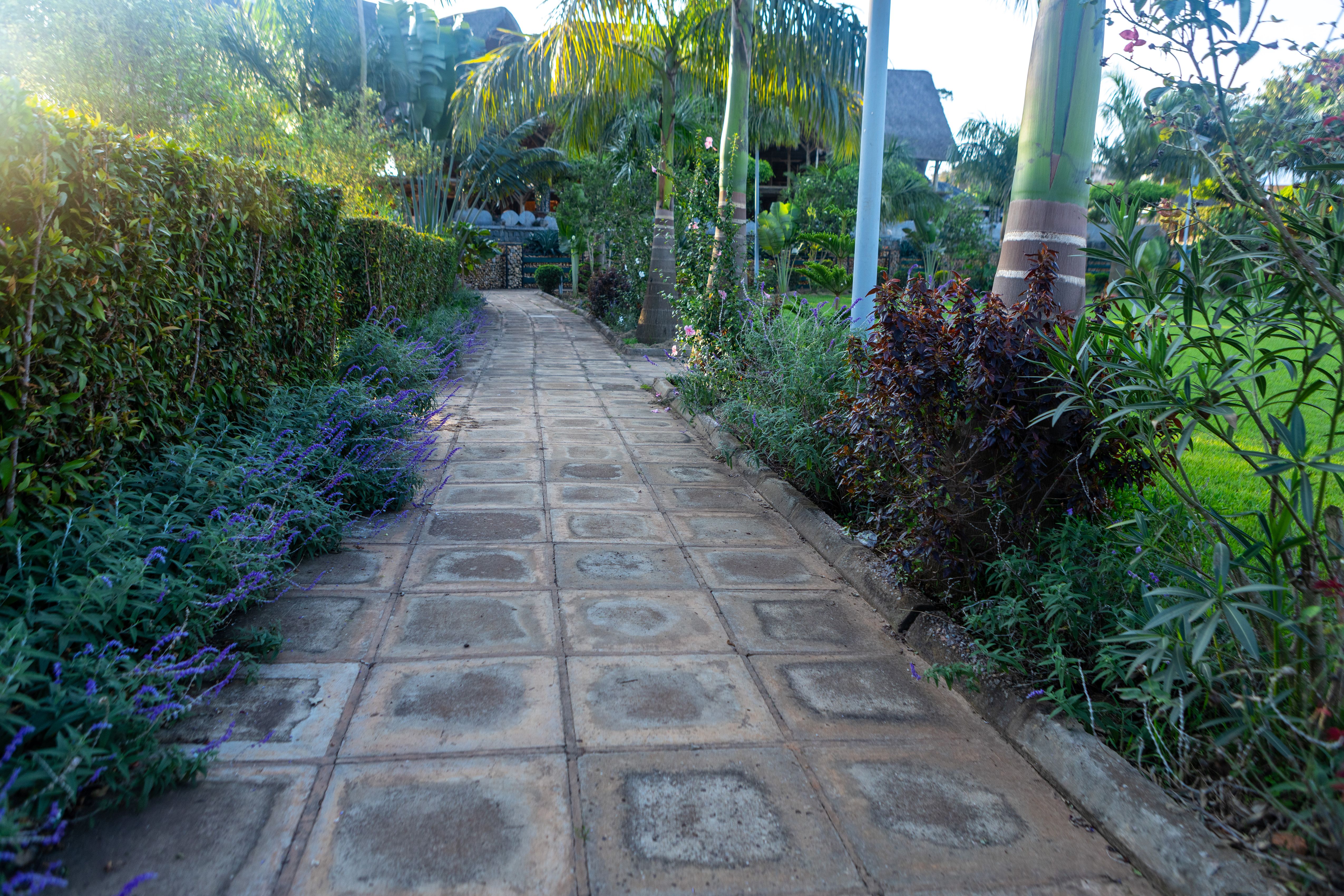 Gallery image 3