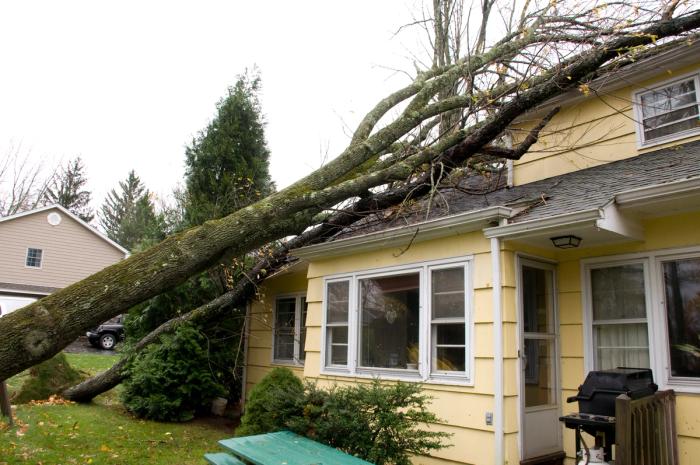 Stormschade