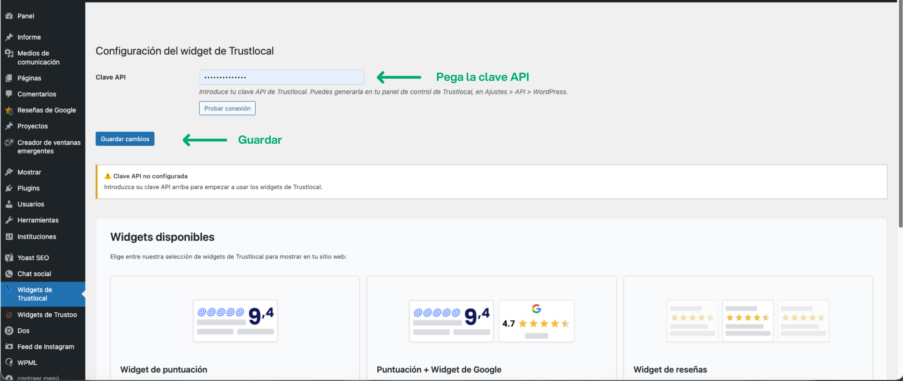 Paso 5: Añade la clave API