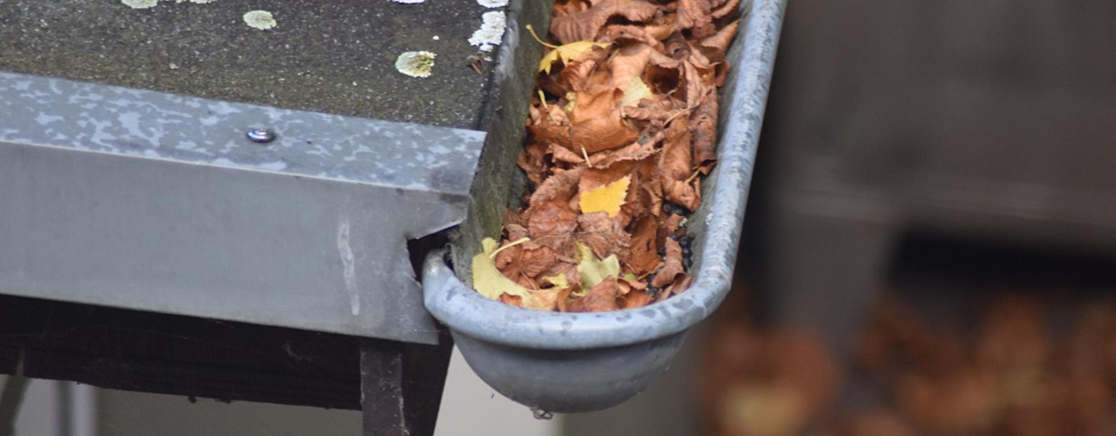 Dakgoot schoonmaken