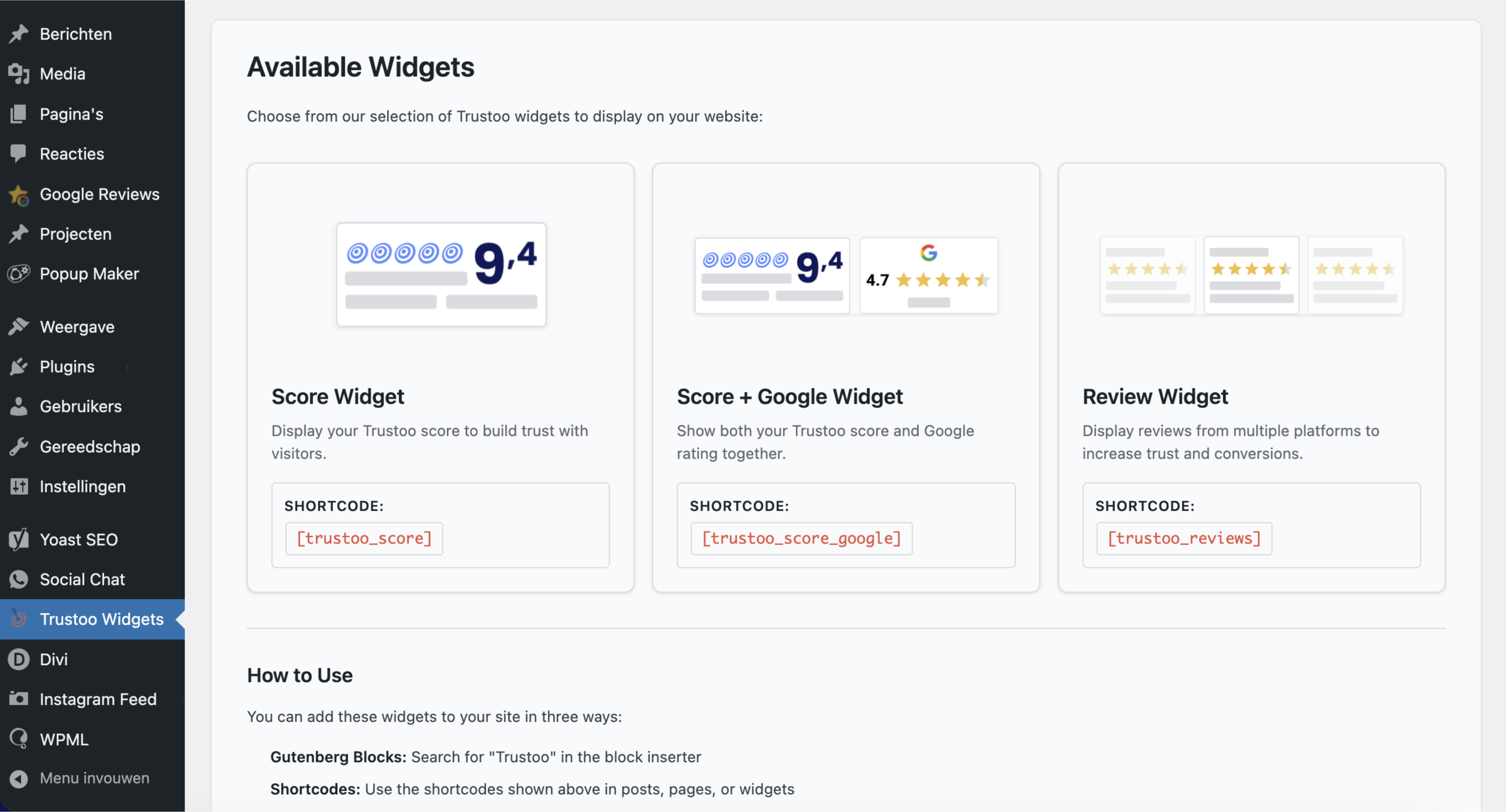 Stap 6.1: Selecteer de code voor de widget van jouw keuze