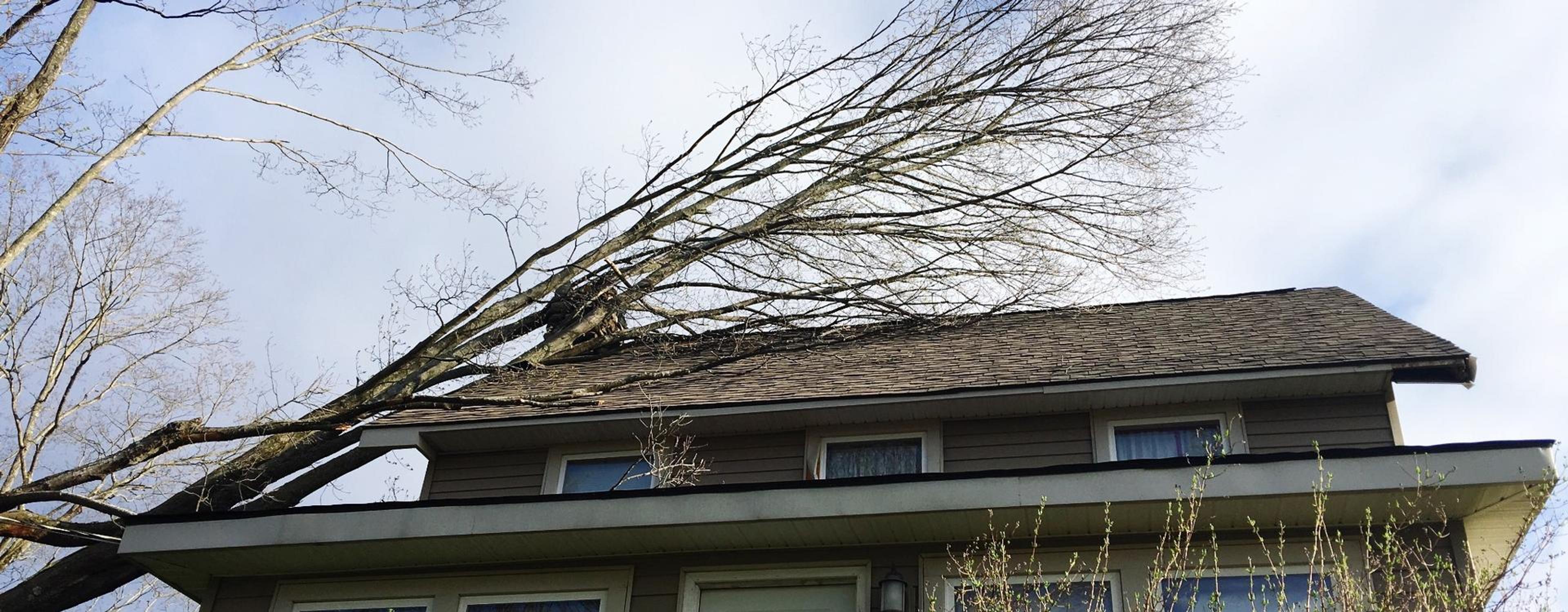 Stormschade