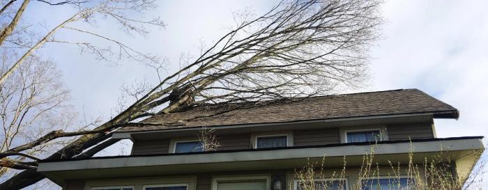 Stormschade