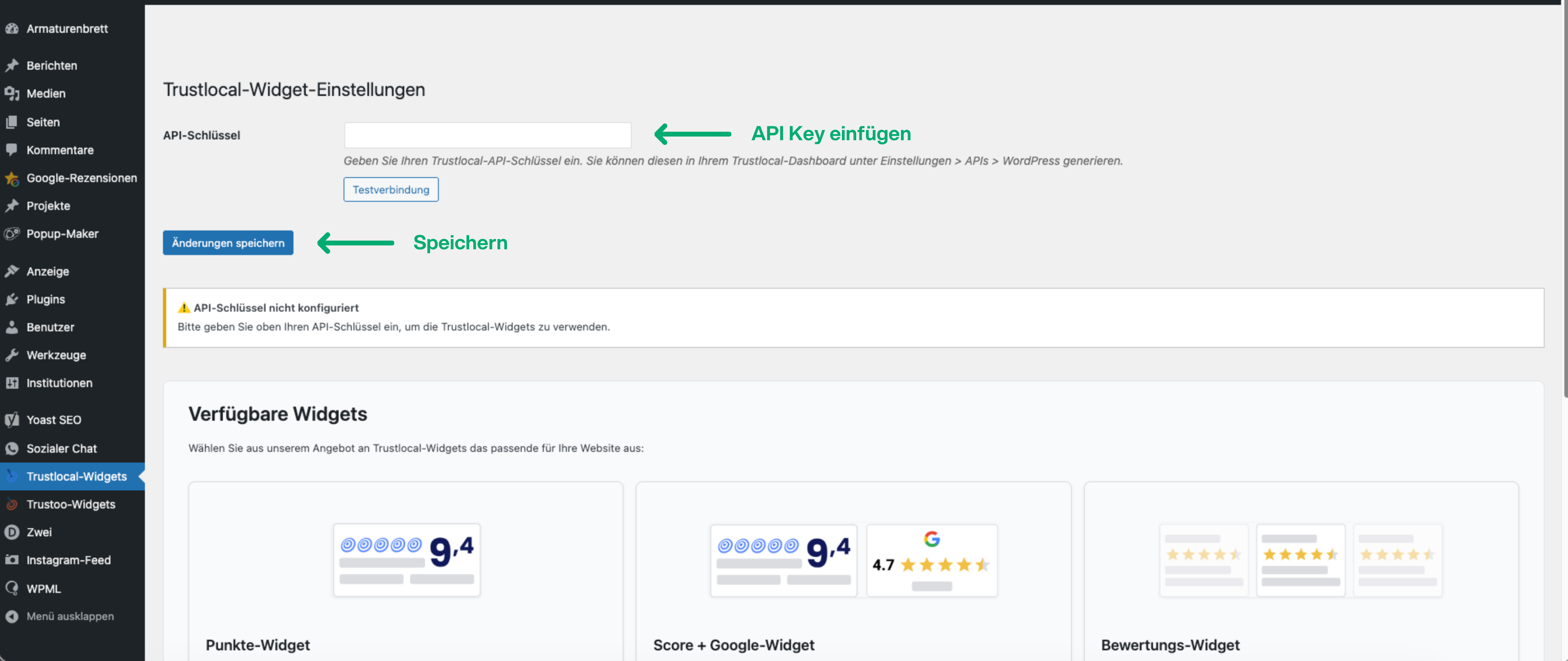 Schritt 5: API-Key im Plugin hinterlegen