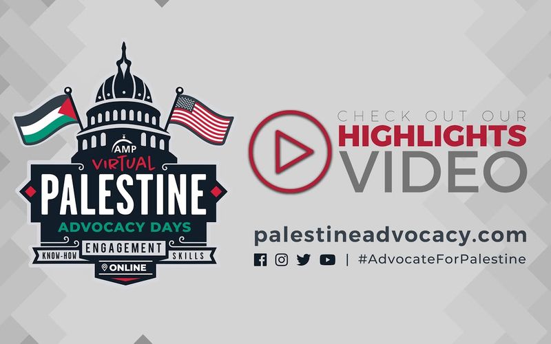 SERP on Virtual Palestine Advocacy Days
