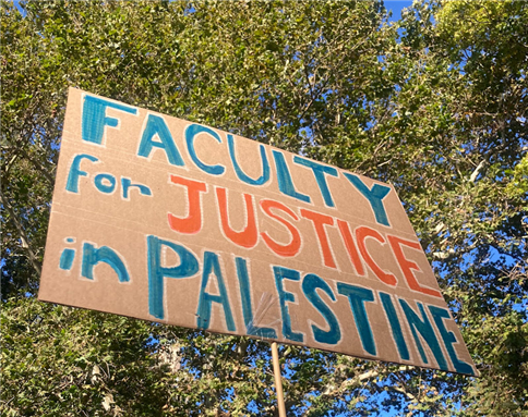 palestinian students