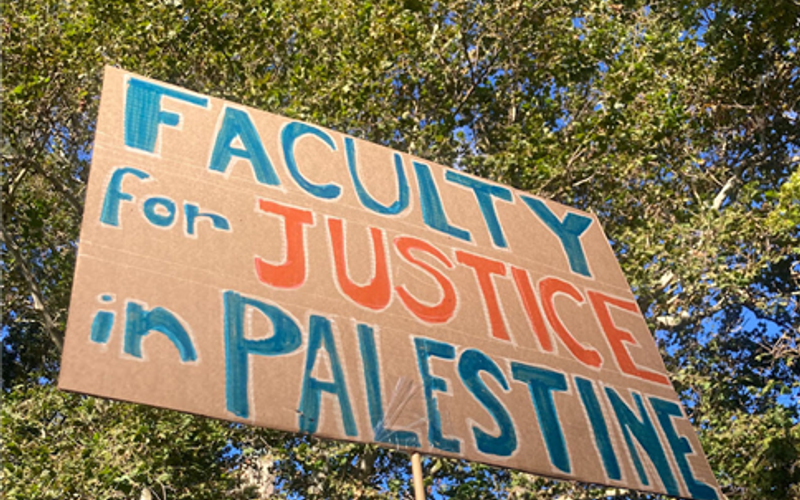 palestinian students