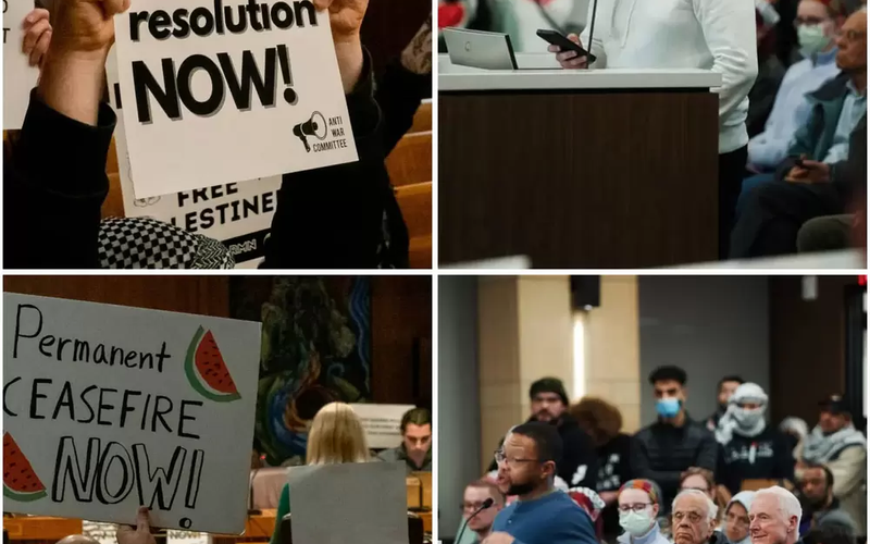 American Muslims for Palestine