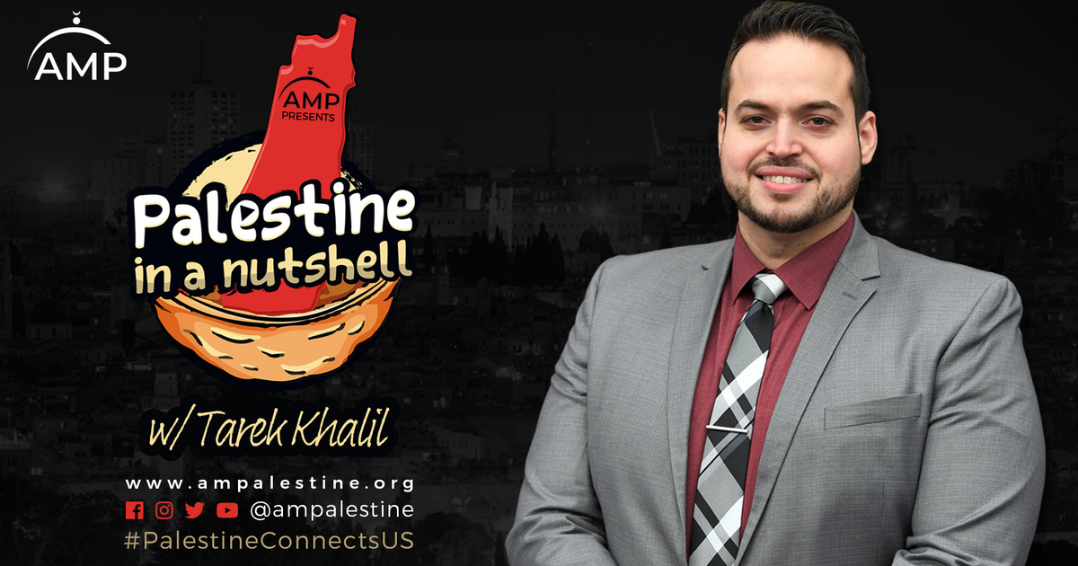 Palestine in a Nutshell